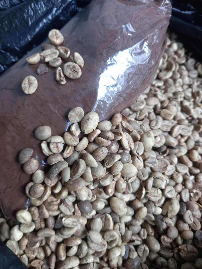 Biji Kopi Robusta (No Roasted)