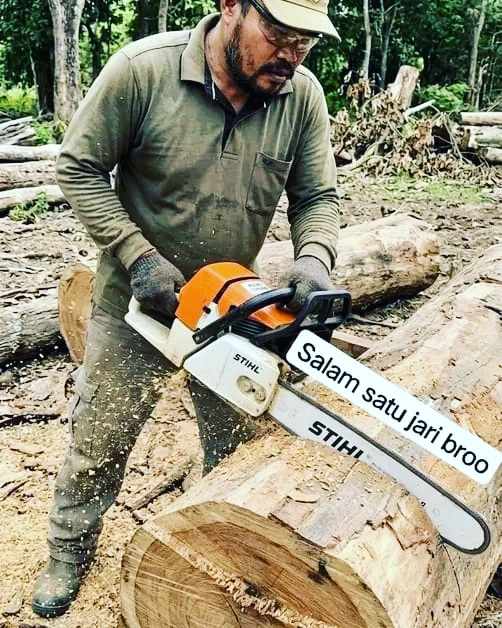Jasa Tebang Pohon Cirebon