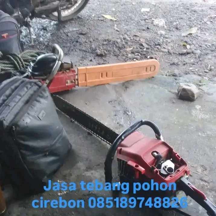 Jasa Tebang Pohon Cirebon
