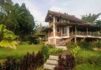 Rumah + Tanah Luas di Tapos Bogor